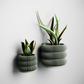 Wall Planter - BUBBLES