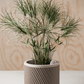 Weave Planter