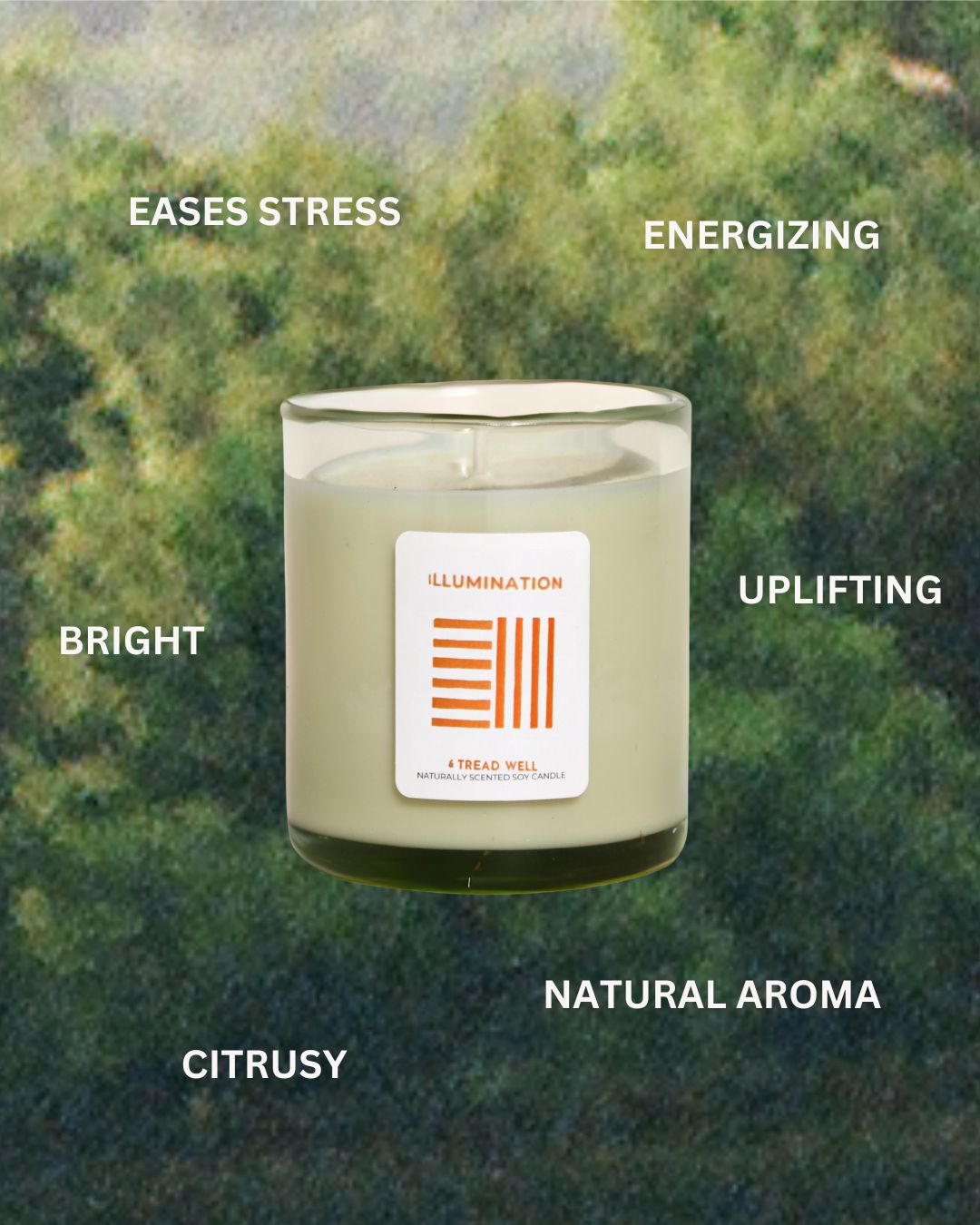 Natural Candle - Illumination