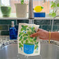 Basil Sponge Cloth
