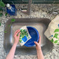 Basil Sponge Cloth