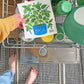 Basil Sponge Cloth