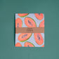 Swedish Dishcloth in Fruit Print, 2-pack