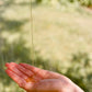 Hand & Body Wash