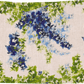 6 Organic Linen Placemats in Wisteria Lane