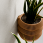 Wall Planter - BUBBLES