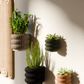 Wall Planter - BUBBLES