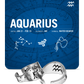 Zodiac Ring - Aquarius - Celestial