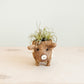 Baby Pig Succulent Pot - Handmade Planters | LIKHÂ
