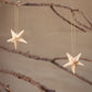 Wooden Star Ornament