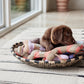 Ashi Dog Toy Small - Cherry Red/Taupe