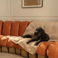 Brigette Romanek | Luxury Pet Throw Blanket - Taupe