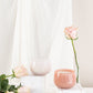 Amami Orchid | 11 oz | 24 oz
