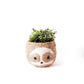 Large two-tone Sloth - Coco Coir Pots (6 inch) | LIKHÂ