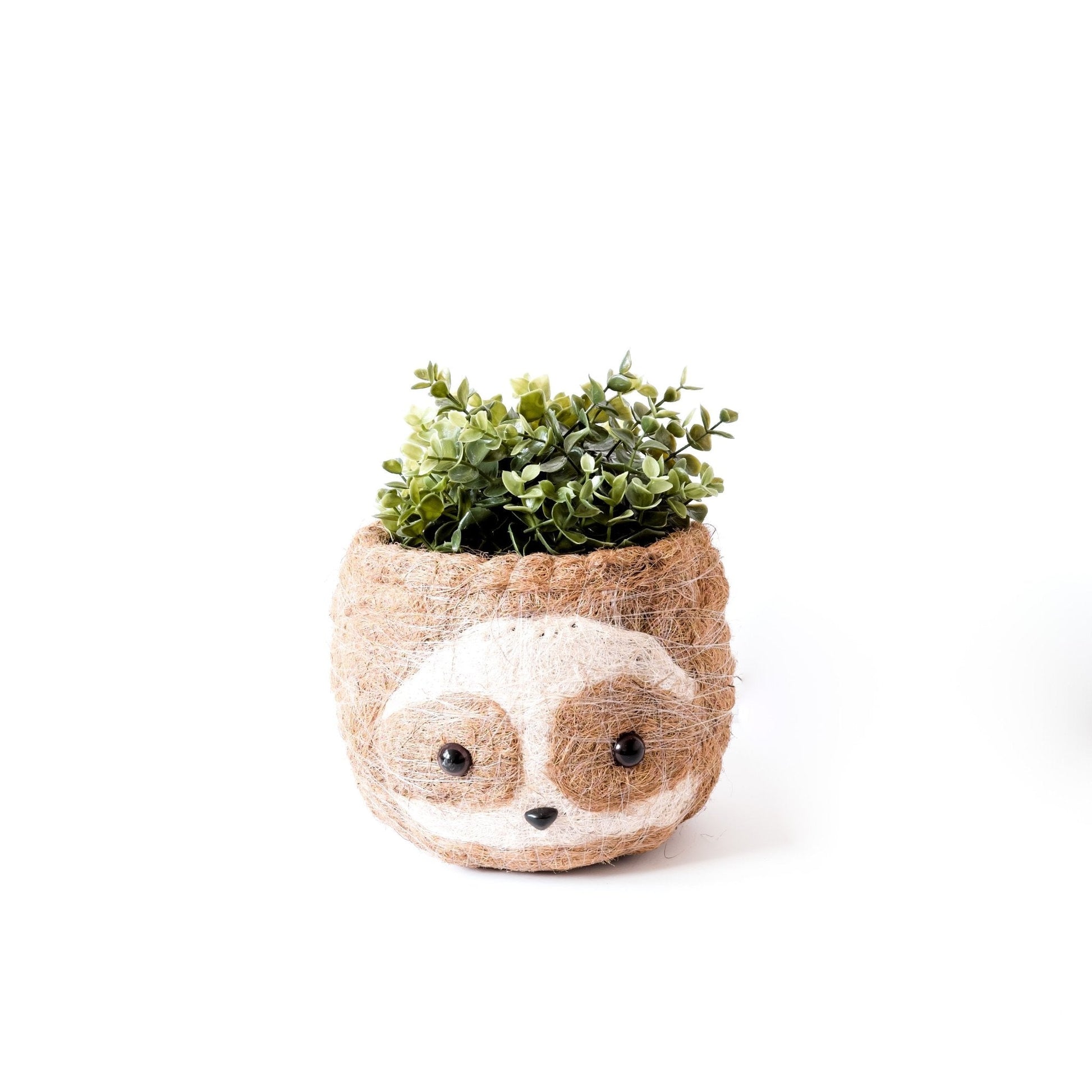 Large two-tone Sloth - Coco Coir Pots (6 inch) | LIKHÂ