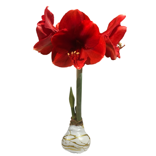Red Flower White Wax Gold Lacquer Splatter 18 Bulbs
