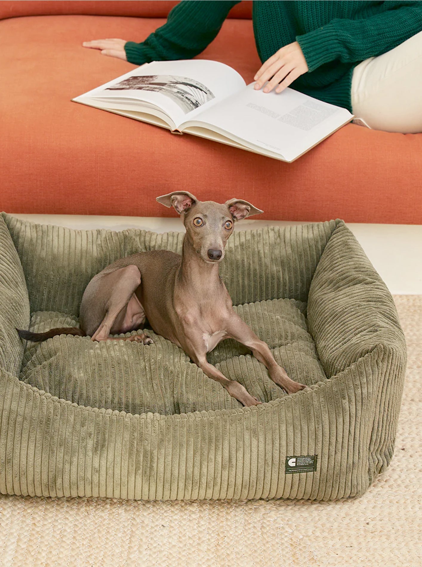 CORDUROY DOG BED - SNOZY