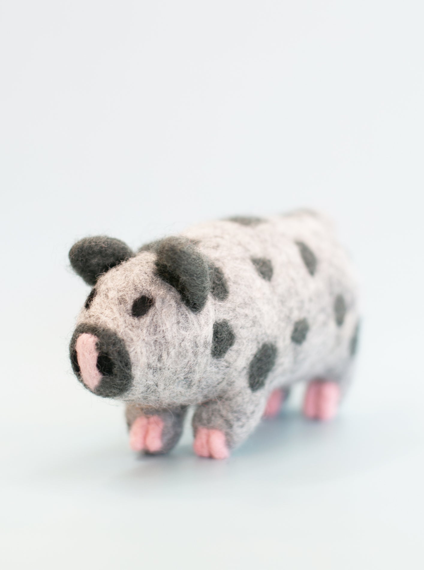 OCHO THE PIG from Aska's Animals