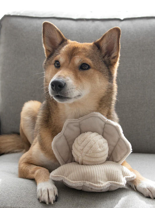 OYSTER POP ENRICHMENT DOG TOY by Lambwolf Collective