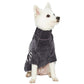 STRIPED SWEATER by Blueberry Pet