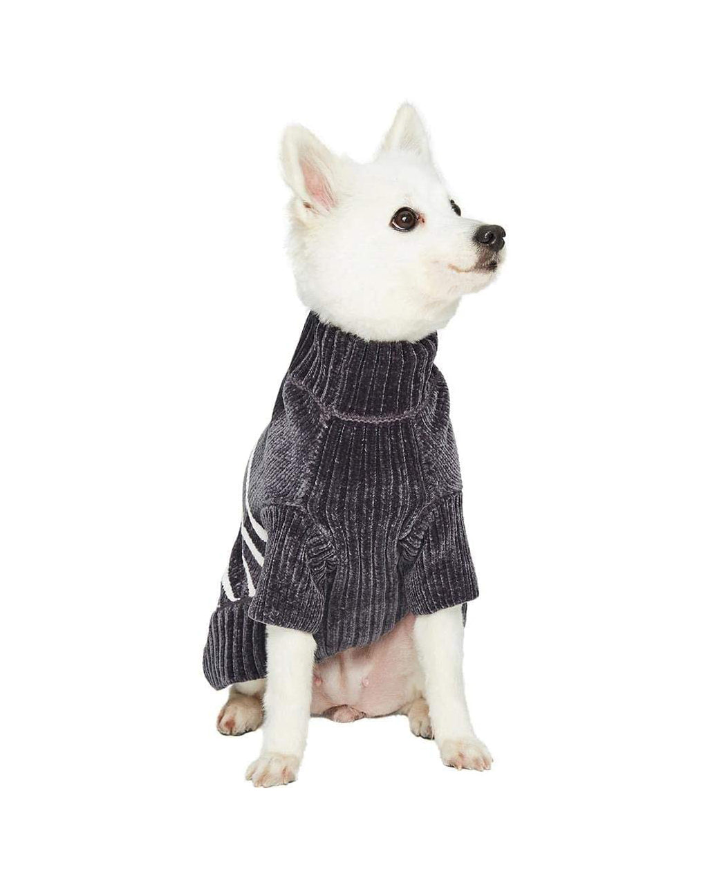 STRIPED SWEATER by Blueberry Pet