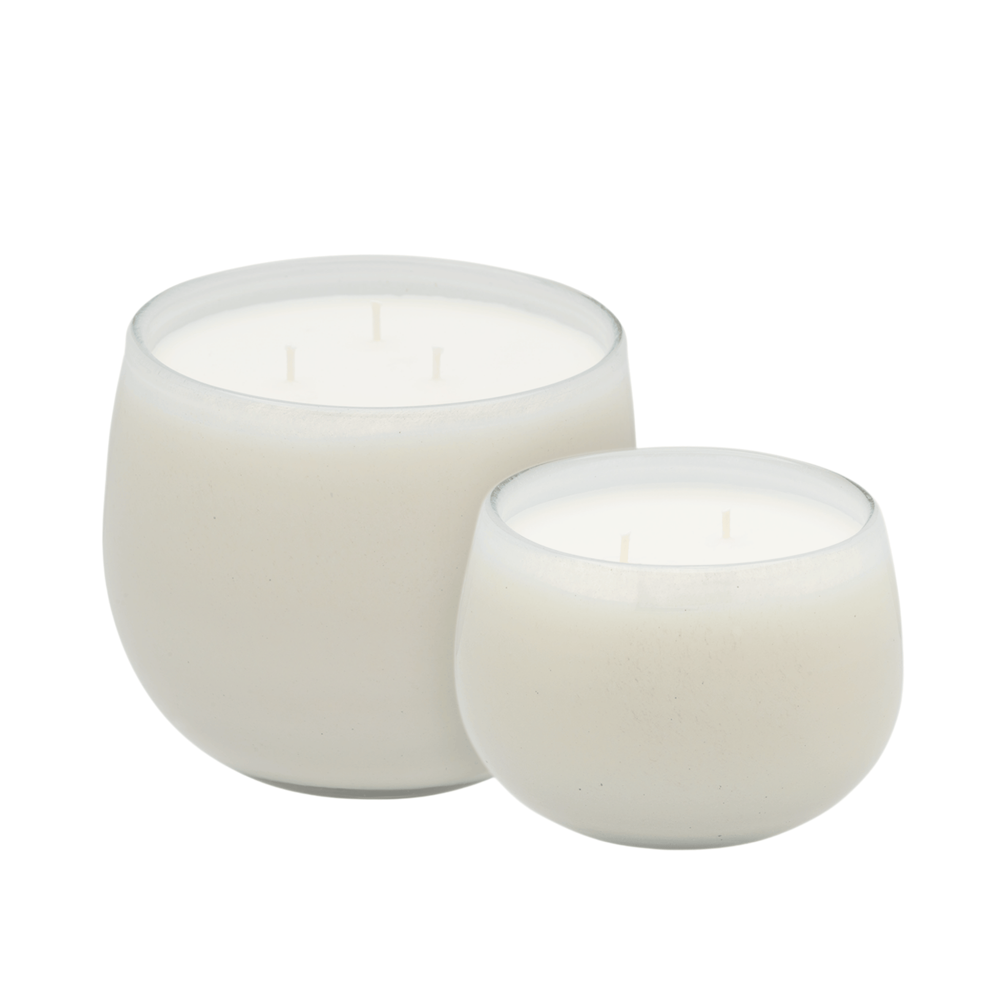 White Cactus | 11 oz | 24 oz