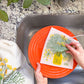Dill Sponge Cloth