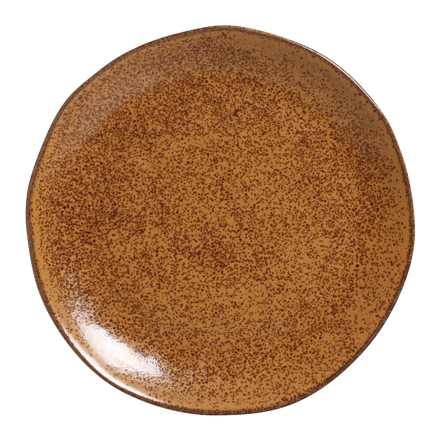 Dinner Plate Set of 6