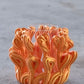 SuperBloom Vase Small