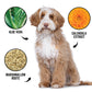 DOGDAYS Hydrating Dog Shampoo for Curly & Wavy Coats — Tear-Free, Vegan, and Hypoallergenic