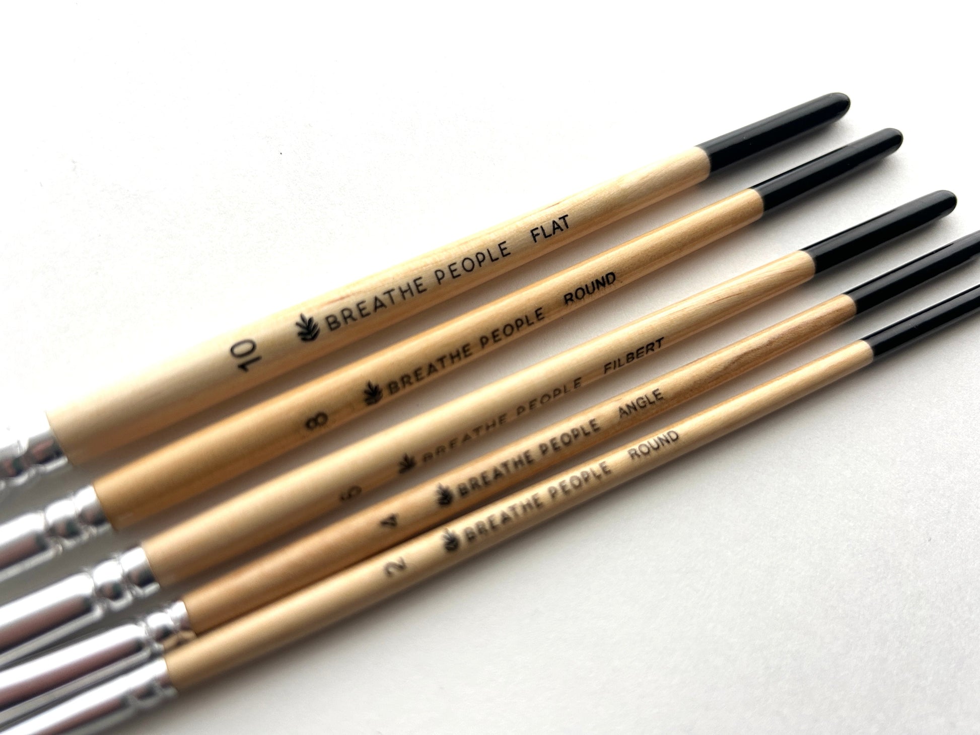 5-Piece Artist Brush Set for Beginners & Casual Creators