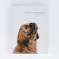 DOGS OF JACKSON HOLE