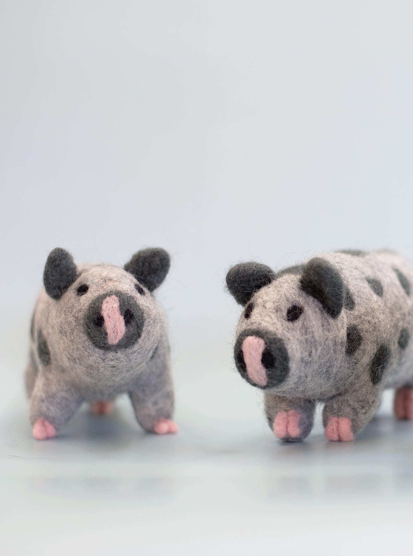 OCHO THE PIG from Aska's Animals