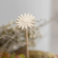 African Flower Diffuser Sticks