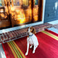 Serape Dark Red