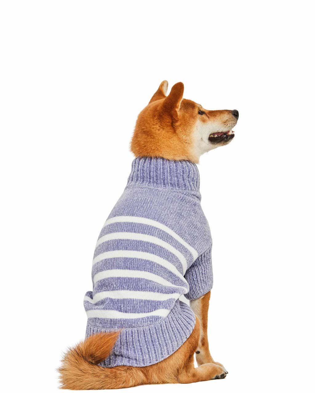 STRIPED SWEATER by Blueberry Pet