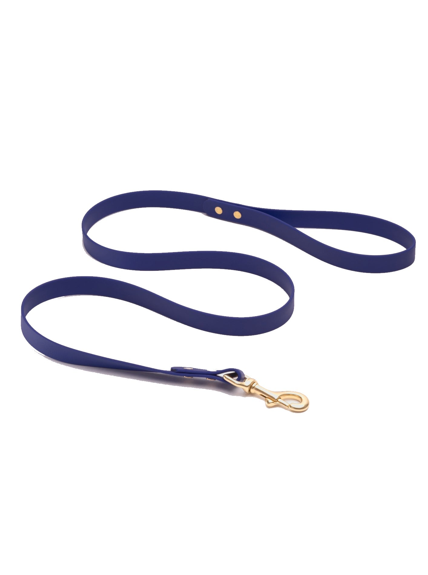 CLASSIC BRASS LEASH by High Tail Hikes