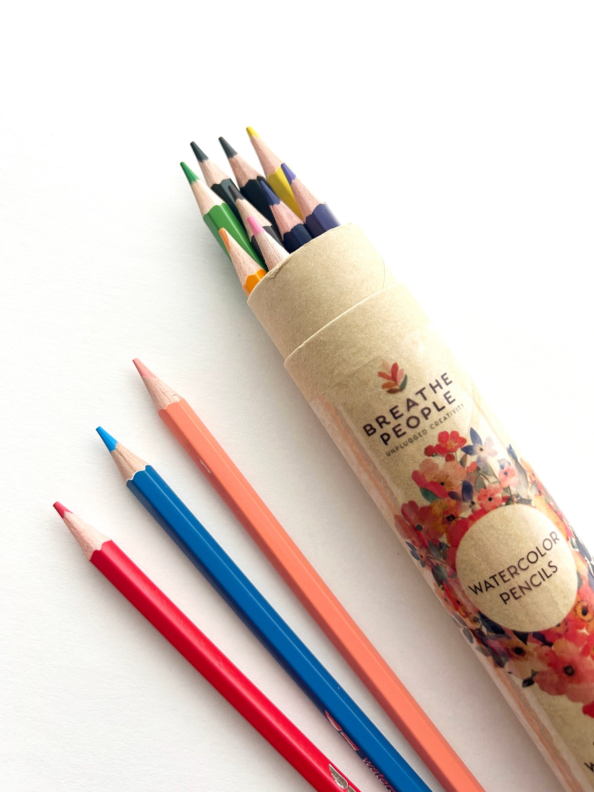 12-Color Watercolor Pencil Set for Beginner