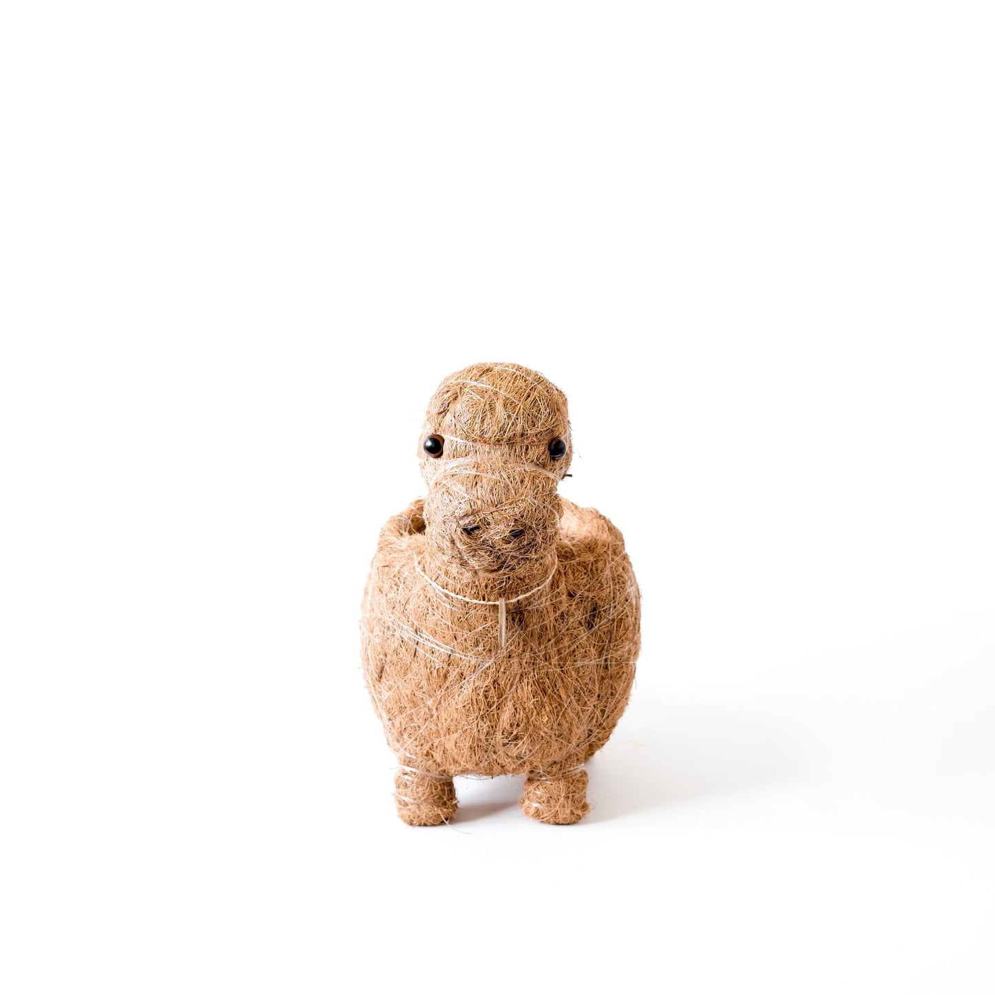 Baby Brontosaurus Planter - Handmade Pots | LIKHÂ