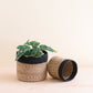 Natural + Black Tabletop Catch-All Set of 2 - Tabletop Bins | LIKHÂ