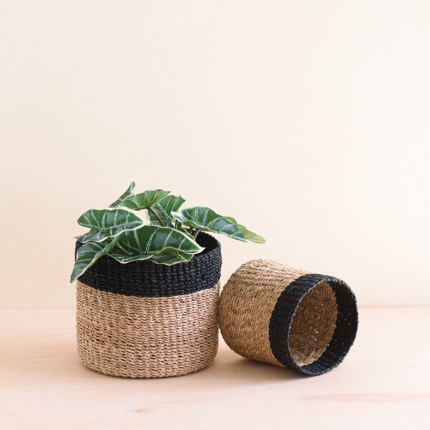 Natural + Black Tabletop Catch-All Set of 2 - Tabletop Bins | LIKHÂ