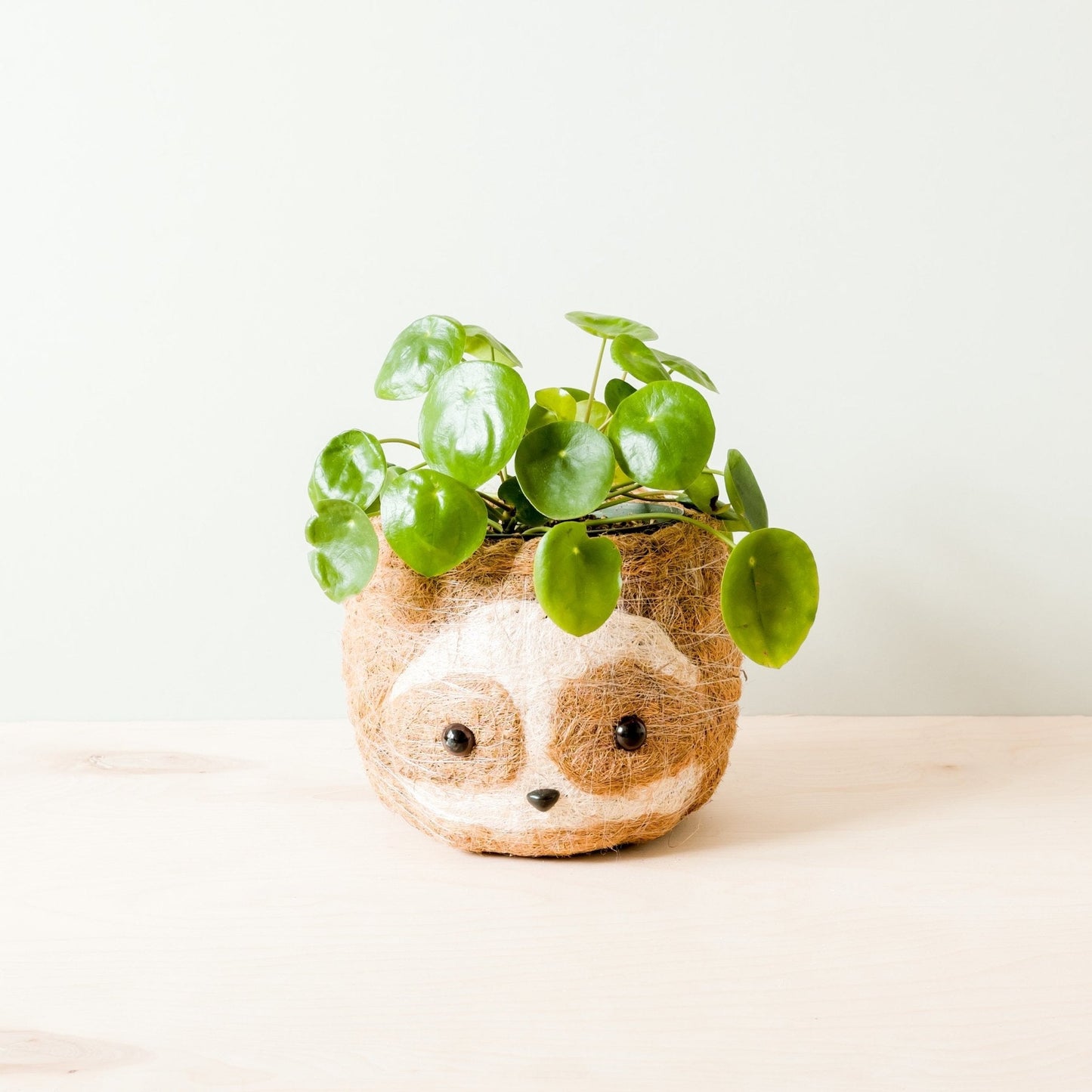 Large two-tone Sloth - Coco Coir Pots (6 inch) | LIKHÂ