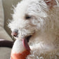 WOOL CANDY CORN