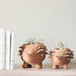 Baby Hedgehog Plant Pot - Handmade Planters | LIKHÂ