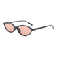 Celeste // Gloss Black [Tinted Bronze