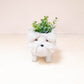 Baby Westie Planter