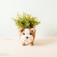 English Bulldog Planter - Coco Coir Pots | LIKHÂ