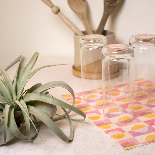 Large Block Print Swedish Dishcloths 2- pack