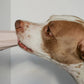 THE UBBE by Up Dog