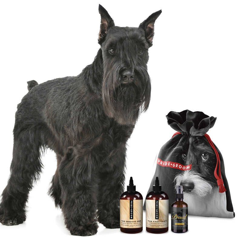 THE SMALL DELUXE DOGGY BAG